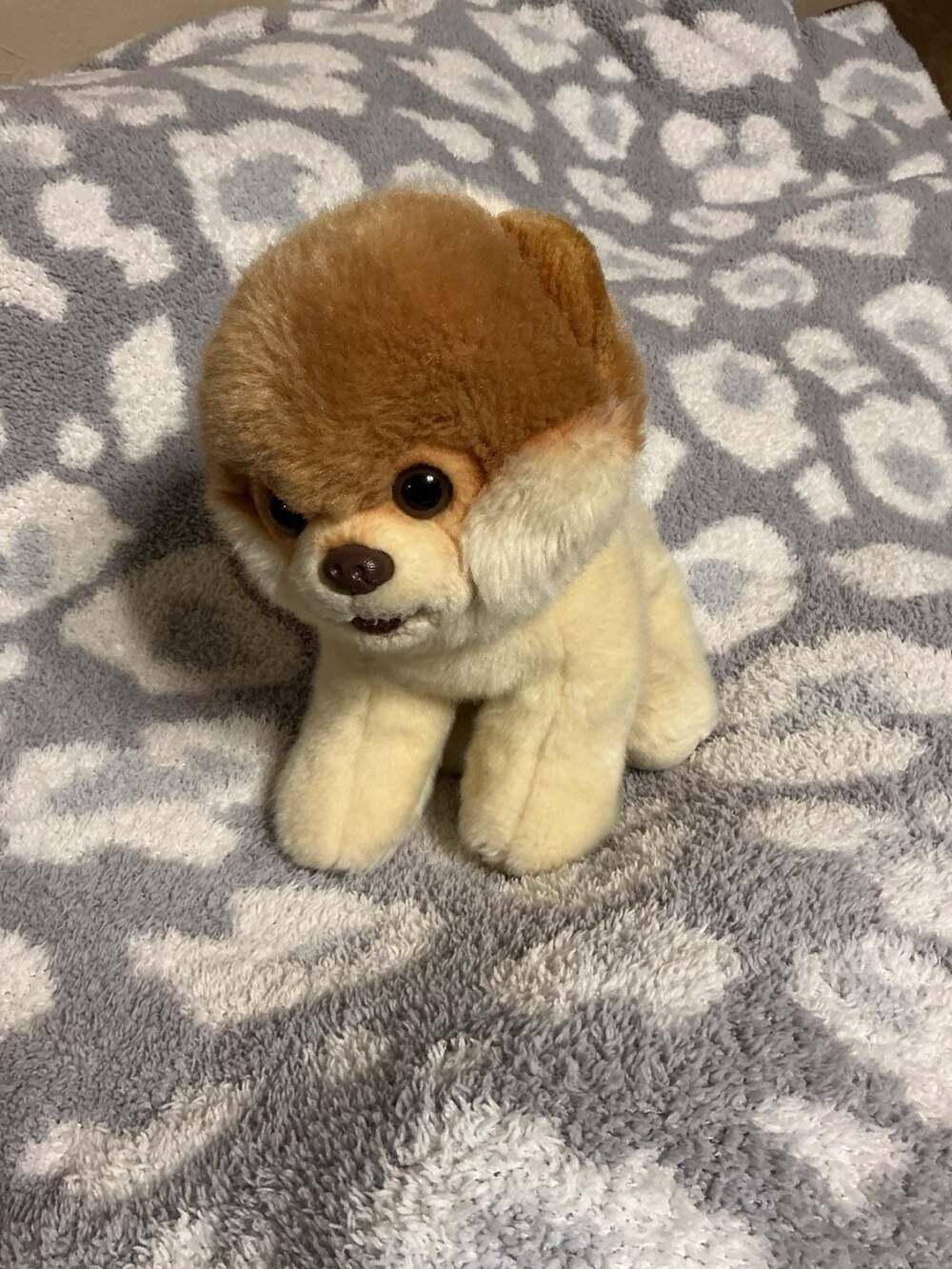Gund Boo The World's Cutest Dog Pomeranian Plush Stuffed Animal
